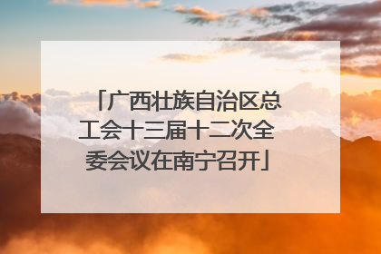 广西壮族自治区总工会十三届十二次全委会议在南宁召开