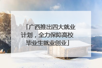 广西推出四大就业计划，全力保障高校毕业生就业创业