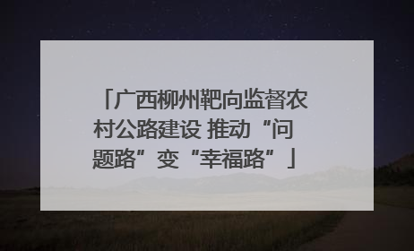 广西柳州靶向监督农村公路建设 推动“问题路”变“幸福路”