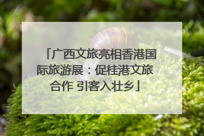 广西文旅亮相香港国际旅游展：促桂港文旅合作 引客入壮乡