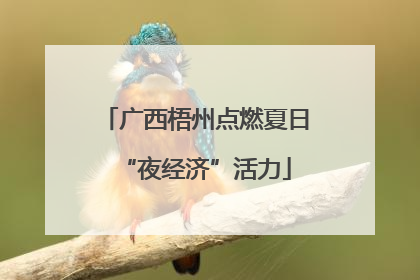 广西梧州点燃夏日“夜经济”活力