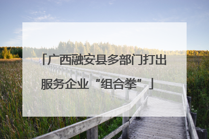 广西融安县多部门打出服务企业“组合拳”