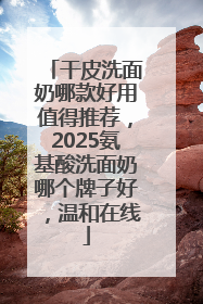 干皮洗面奶哪款好用值得推荐，2025氨基酸洗面奶哪个牌子好，温和在线