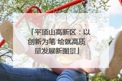 平顶山高新区：以创新为笔 绘就高质量发展新图景