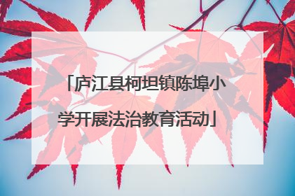 庐江县柯坦镇陈埠小学开展法治教育活动