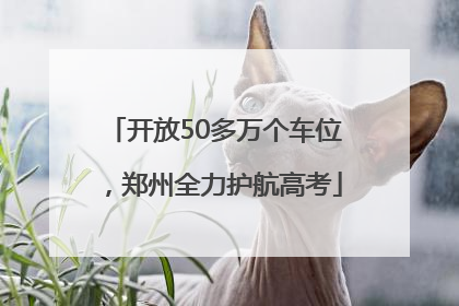 开放50多万个车位，郑州全力护航高考