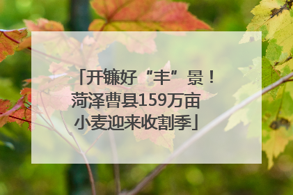 开镰好“丰”景！菏泽曹县159万亩小麦迎来收割季