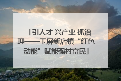 引人才 兴产业 抓治理——玉屏新店镇“红色动能”赋能强村富民