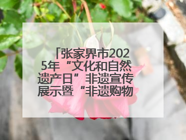 张家界市2025年“文化和自然遗产日”非遗宣传展示暨“非遗购物节”活动在慈利县盛大启幕