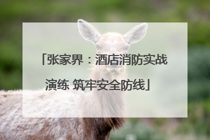 张家界：酒店消防实战演练 筑牢安全防线