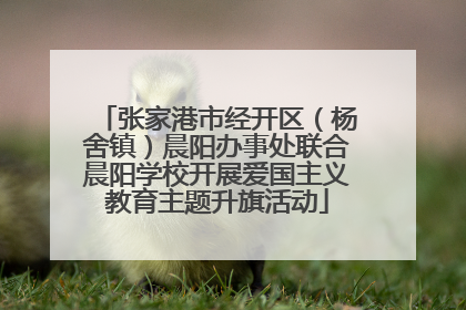 张家港市经开区（杨舍镇）晨阳办事处联合晨阳学校开展爱国主义教育主题升旗活动