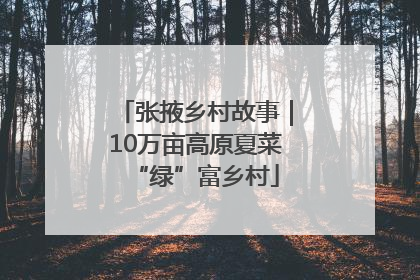 张掖乡村故事｜10万亩高原夏菜“绿”富乡村