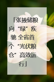 张掖储粮向“绿”疾驰 全省首个“光伏粮仓”高效运行