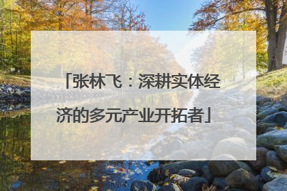 张林飞：深耕实体经济的多元产业开拓者