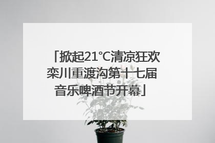 掀起21℃清凉狂欢 栾川重渡沟第十七届音乐啤酒节开幕