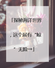 探秘海洋世界，这个展有“鲸”无险→