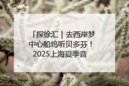 探徐汇｜去西岸梦中心船坞听贝多芬！2025上海夏季音乐节公布节目阵容