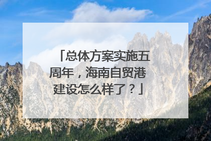 总体方案实施五周年，海南自贸港建设怎么样了？