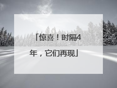 惊喜！时隔4年，它们再现