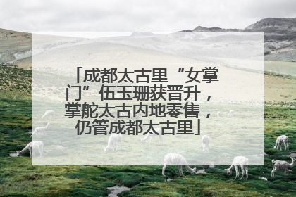 成都太古里“女掌门”伍玉珊获晋升，掌舵太古内地零售，仍管成都太古里