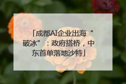成都AI企业出海“破冰”：政府搭桥，中东首单落地沙特