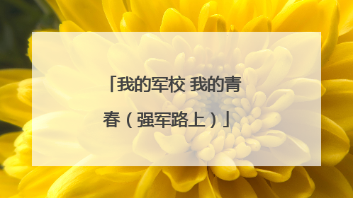 我的军校 我的青春（强军路上）
