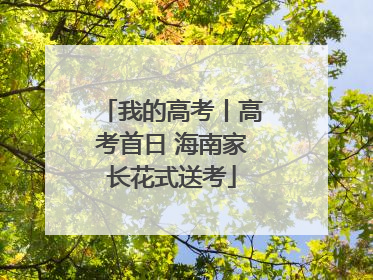 我的高考丨高考首日 海南家长花式送考