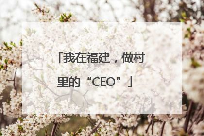 我在福建，做村里的“CEO”