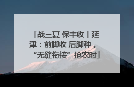 战三夏 保丰收丨延津：前脚收 后脚种，“无缝衔接”抢农时