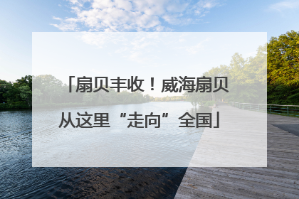 扇贝丰收！威海扇贝从这里“走向”全国