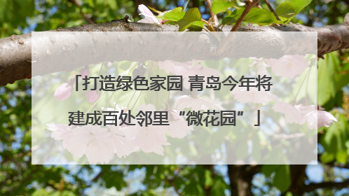 打造绿色家园 青岛今年将建成百处邻里“微花园”