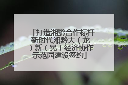 打造湘黔合作标杆 新时代湘黔大（龙）新（晃）经济协作示范园建设签约