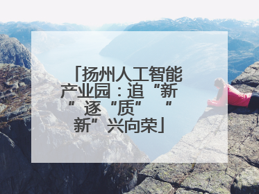 扬州人工智能产业园：追“新”逐“质” “新”兴向荣