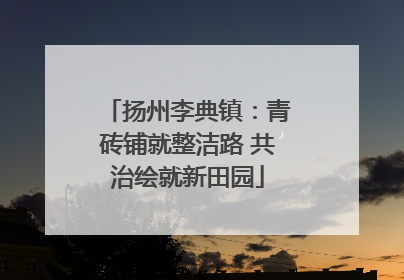 扬州李典镇：青砖铺就整洁路 共治绘就新田园
