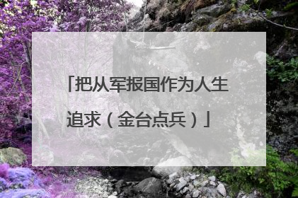 把从军报国作为人生追求（金台点兵）