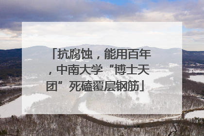 抗腐蚀，能用百年，中南大学“博士天团”死磕覆层钢筋