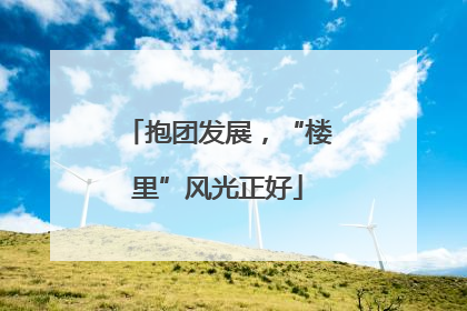 抱团发展，“楼里”风光正好