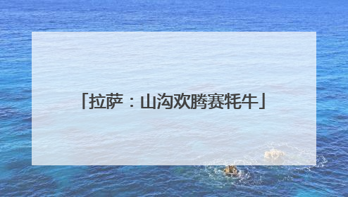 拉萨：山沟欢腾赛牦牛