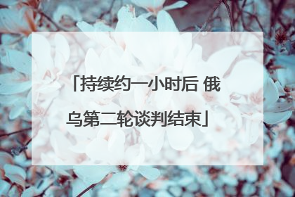 持续约一小时后 俄乌第二轮谈判结束