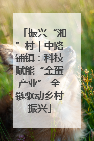 振兴“湘”村｜中路铺镇：科技赋能“金蛋产业” 全链驱动乡村振兴