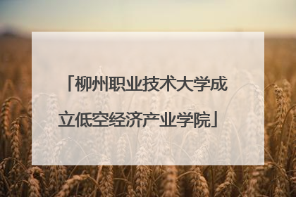 柳州职业技术大学成立低空经济产业学院