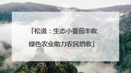 松滋：生态小番茄丰收 绿色农业助力农民增收