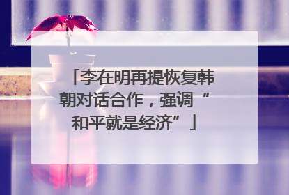 李在明再提恢复韩朝对话合作，强调“和平就是经济”