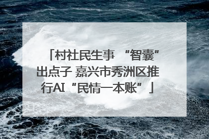 村社民生事 “智囊”出点子 嘉兴市秀洲区推行AI“民情一本账”