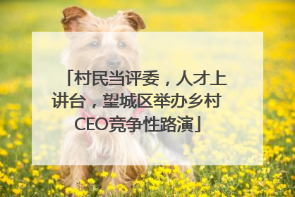 村民当评委，人才上讲台，望城区举办乡村CEO竞争性路演