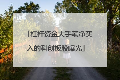 杠杆资金大手笔净买入的科创板股曝光