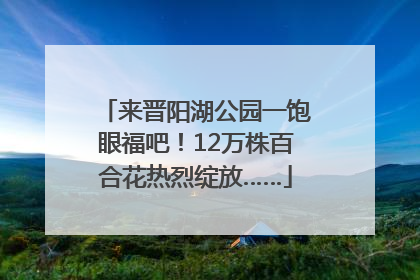 来晋阳湖公园一饱眼福吧！12万株百合花热烈绽放……