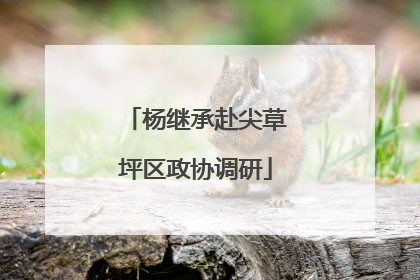 杨继承赴尖草坪区政协调研