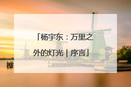 杨宇东：万里之外的灯光｜序言