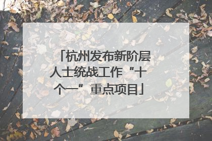 杭州发布新阶层人士统战工作“十个一”重点项目